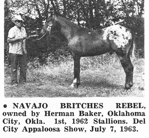 navajobritchesrebel