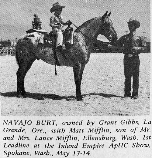 navajo burt