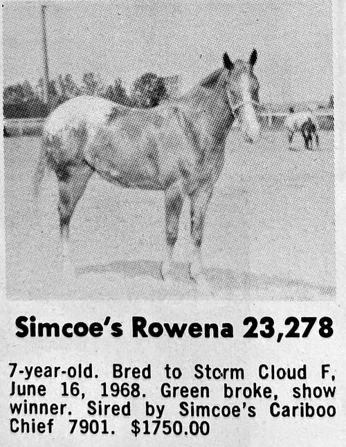 simcoes rowena