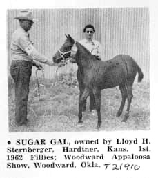 sugargal