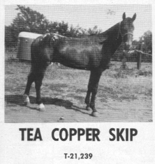 teacopperskip