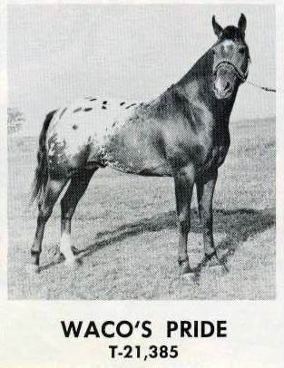 wacospride