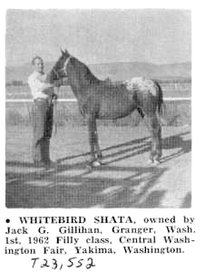 whitebirdshata