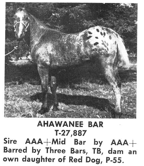 AhawaneeBar