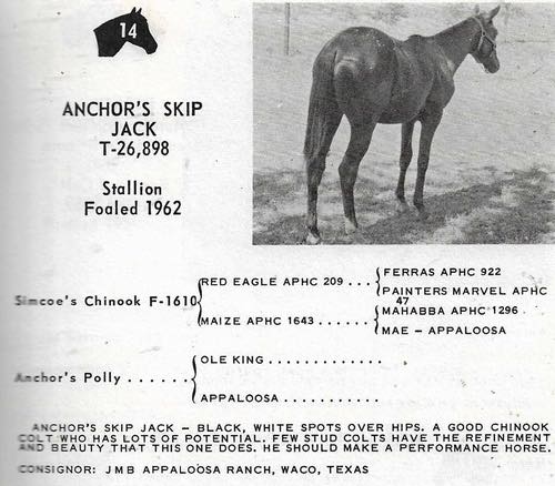 AnchorsSkipJack