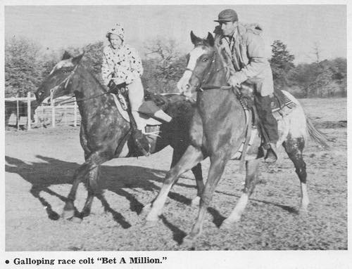 BetAMillion