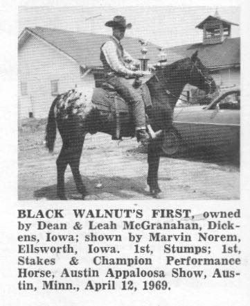 BlackWalnutsFirst