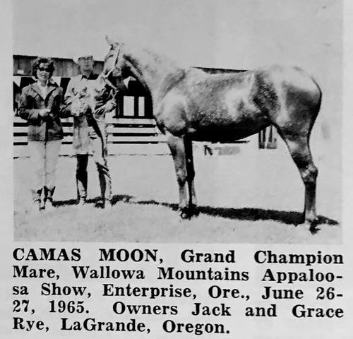 CamasMoon