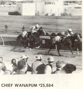 ChiefWanapum
