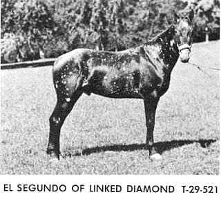 ElSegundoofLinkedDiamond