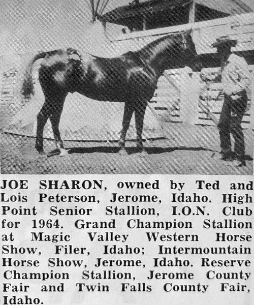 JoeSharon