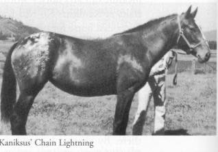 KaniksusChainLightening
