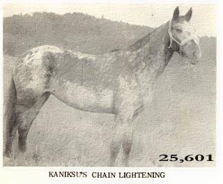 KaniksusChainLightening2