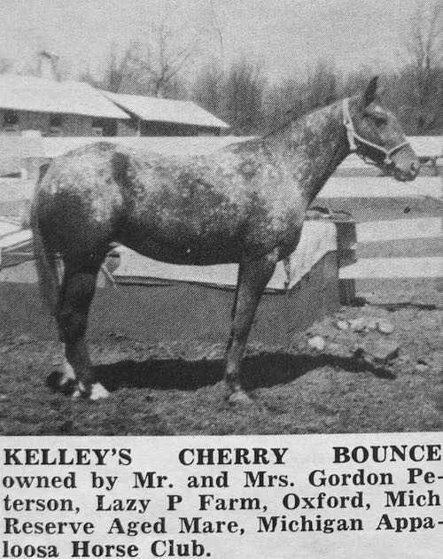 KelleysCherryBounce