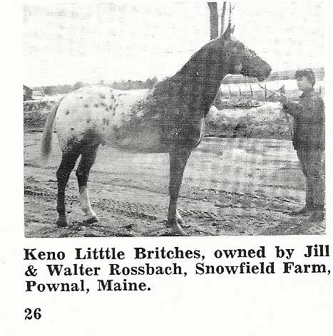 KenoLittleBritches