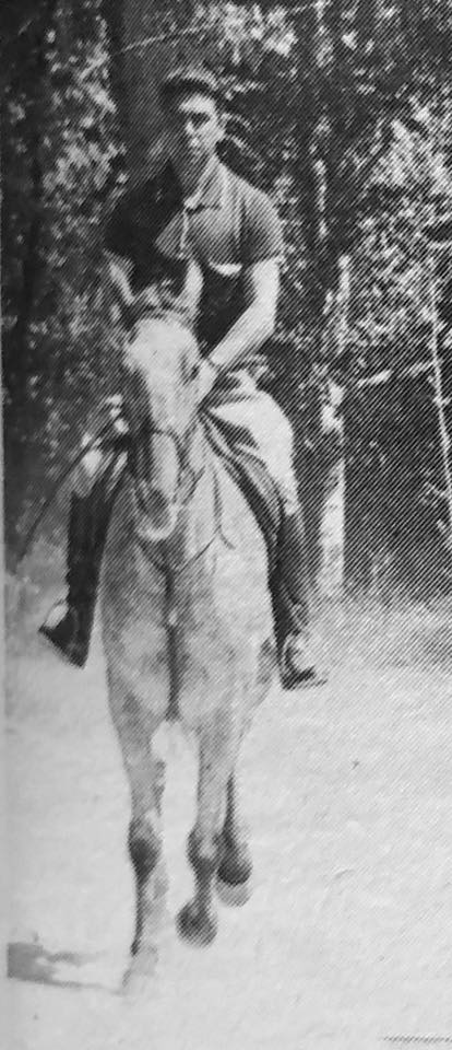 NebraskasBrownBunny2