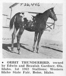 OrbitThunderbird