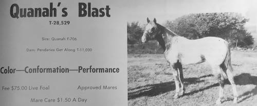 QuanahsBlast