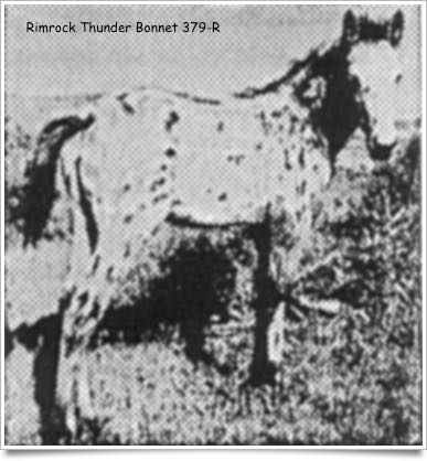 RimrockThunderBonnet