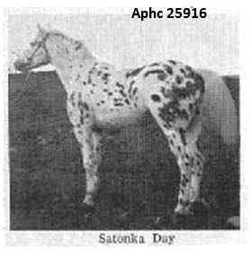 SatonkaDay