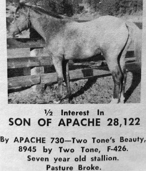 SonOfApache