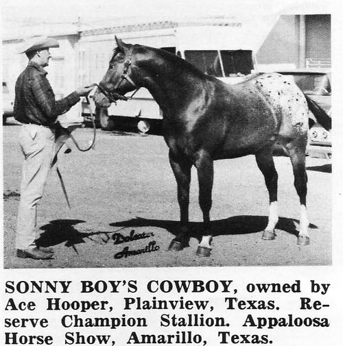 SonnyBoysCowboy