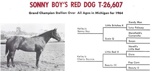 SonnyBoysRedDog