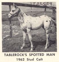 TablerocksSpottedMan