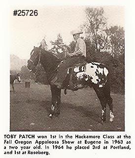 TobyPatch