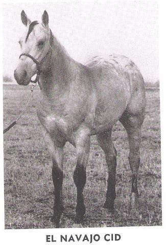elnavajocid
