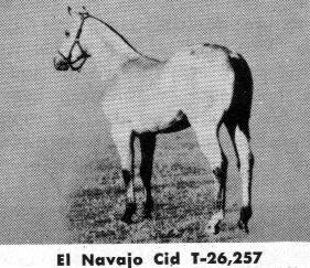 elnavajocid2
