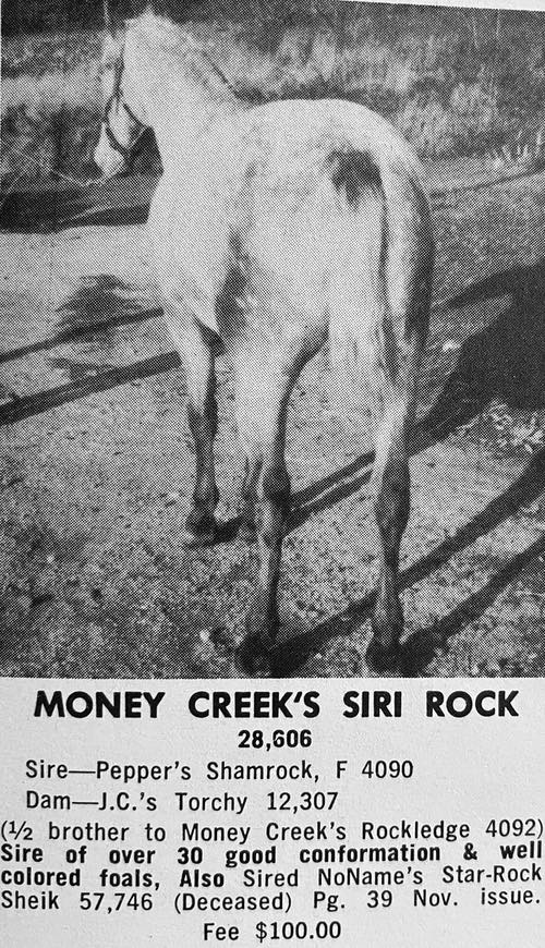 money creeks siri rock