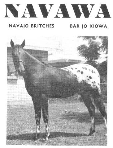 navawa