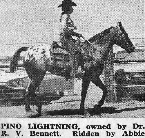 pino lightning