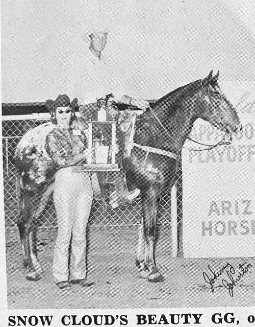 snow clouds beauty gg