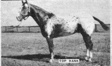 tophank