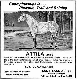 attila2658b