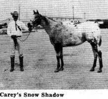 careyssnowshadow3045