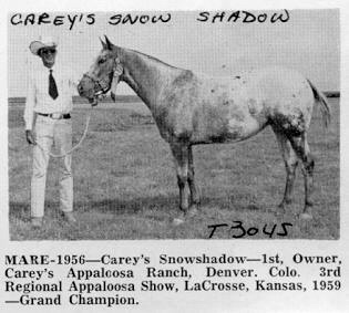 careyssnowshadowt3045