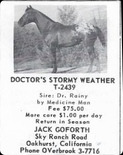 doctorsstormyweather