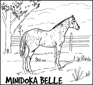 minidokabelle3451a