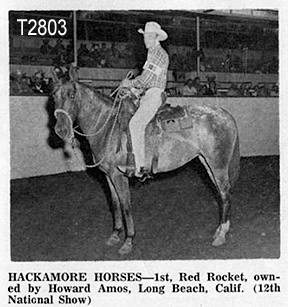 redrockett2803a