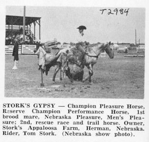 storksgypsyt2984a
