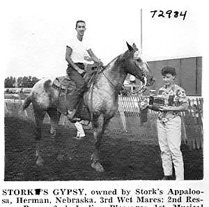 storksgypsyt2984b