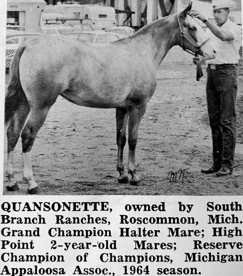 quansonette