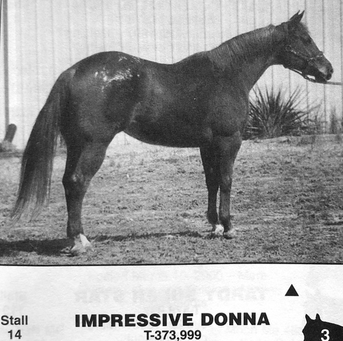 ImpressiveDonna2