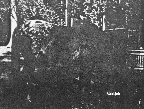 Madijeh2