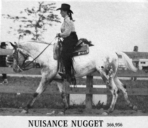 NuisanceNugget