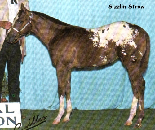 SizzlinStraw