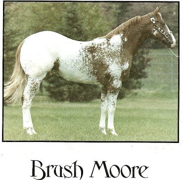 brushmoore